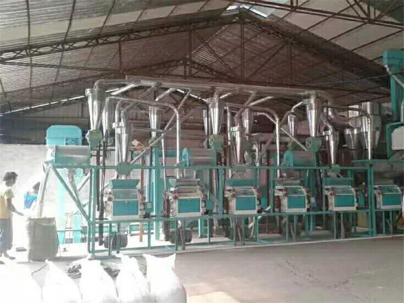 20329067029925849 大型面粉机