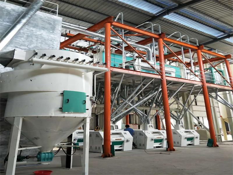 650885877960167924 60吨面粉机