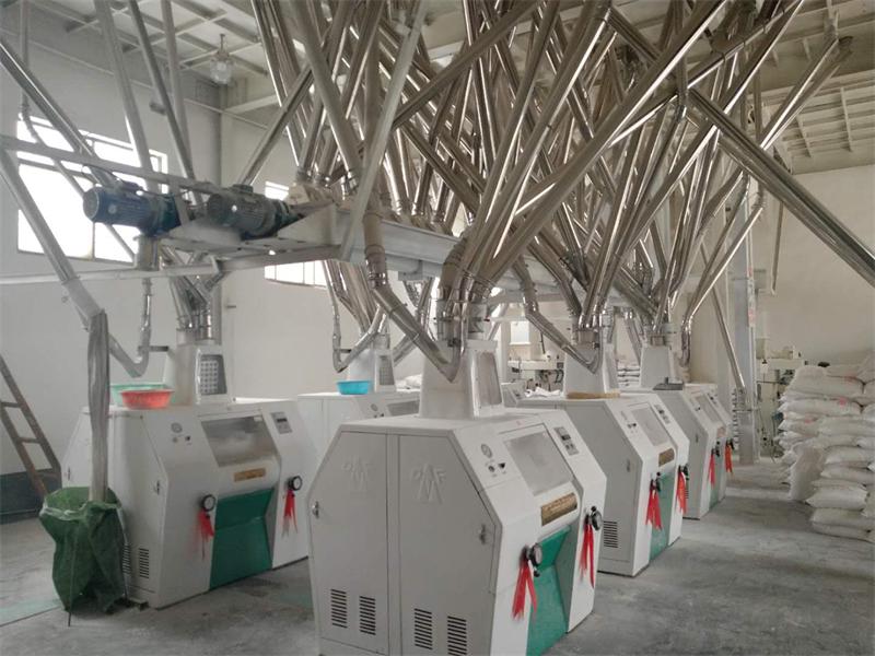 56728427984469162 面粉机